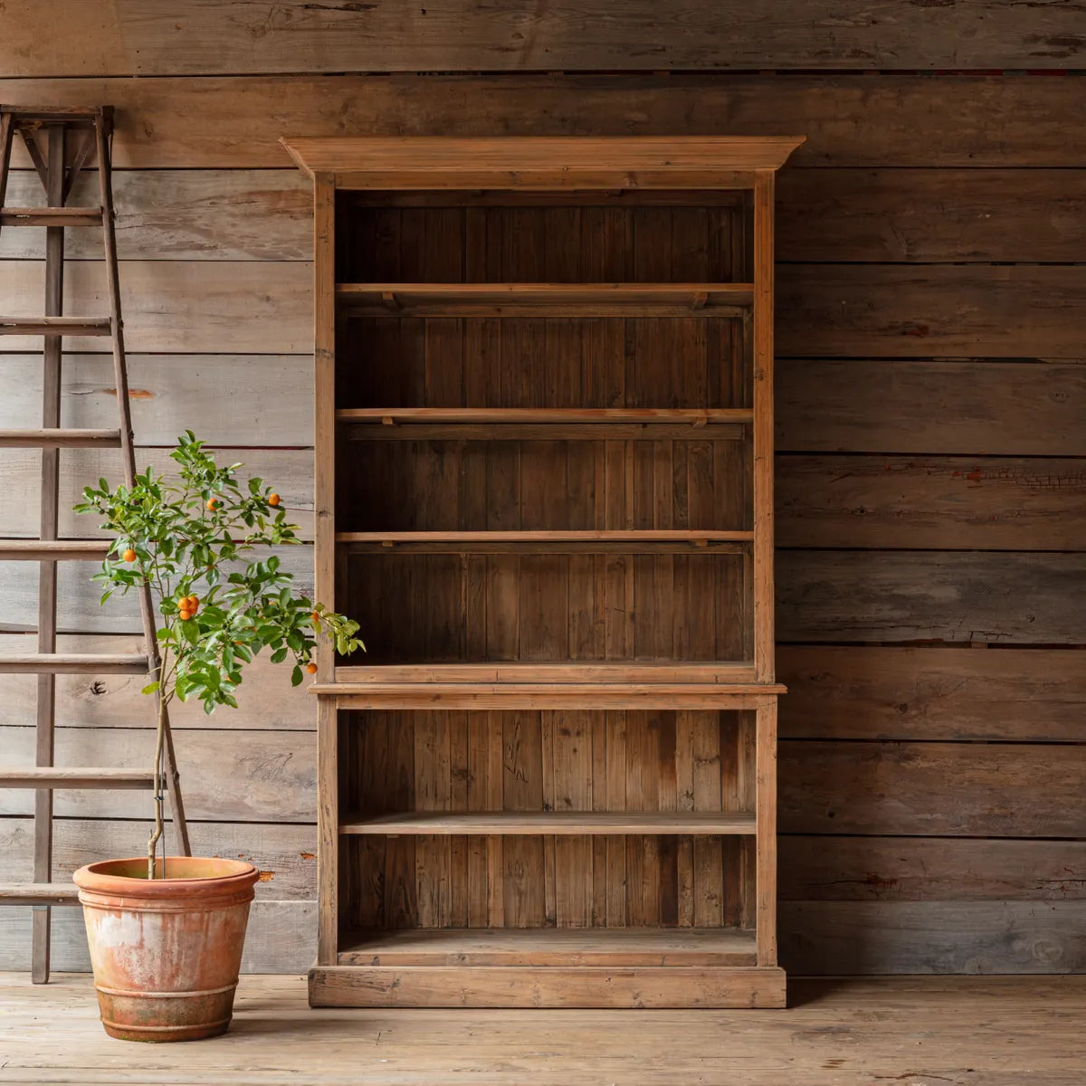 PINE MERCHANTS CASE Bookcase Store Display Shelf