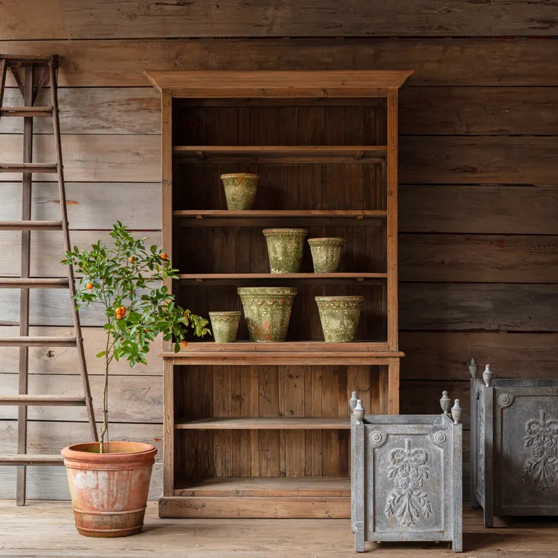 PINE MERCHANTS CASE Bookcase Store Display Shelf